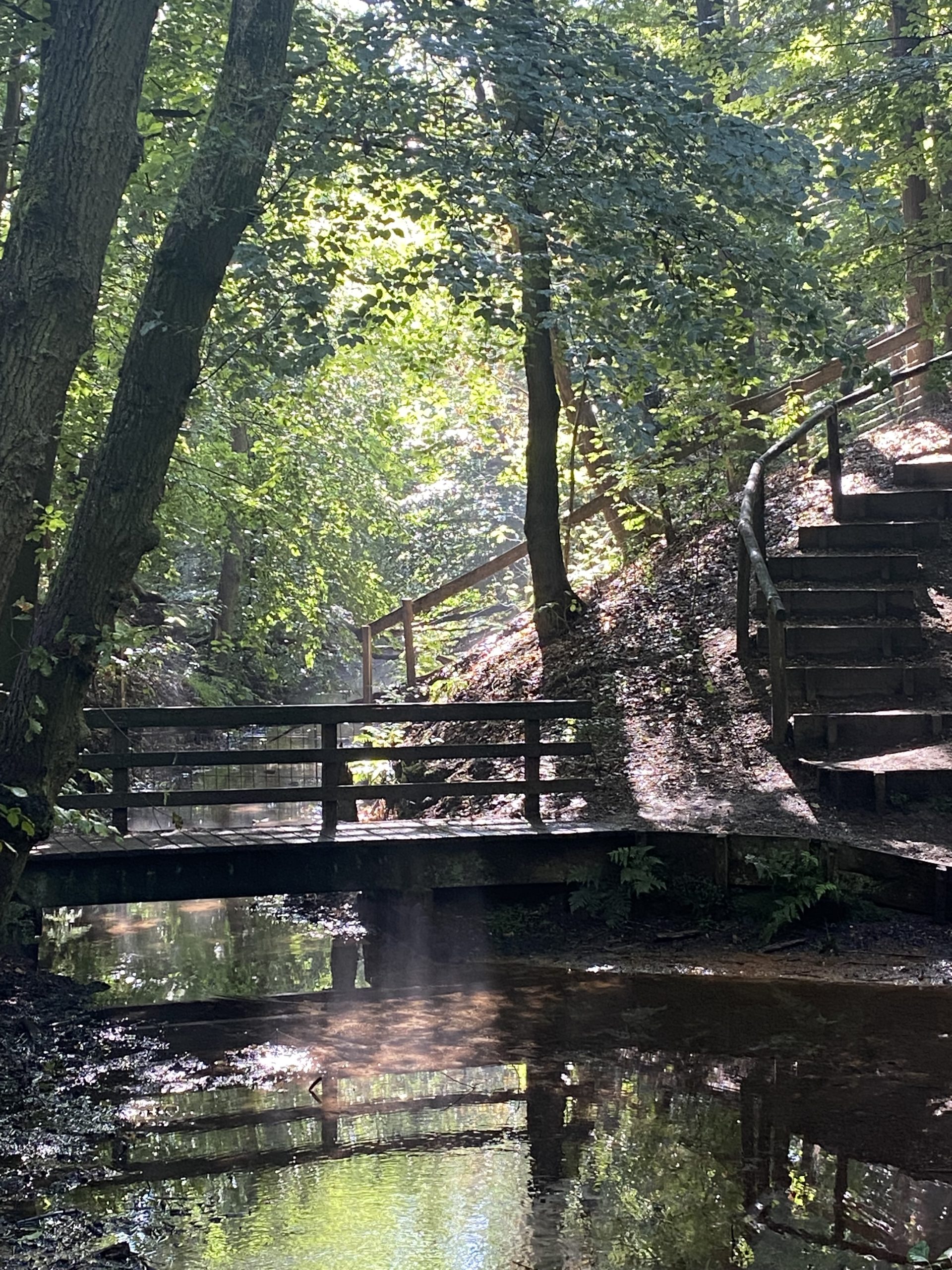 sprengkop Soerense beek