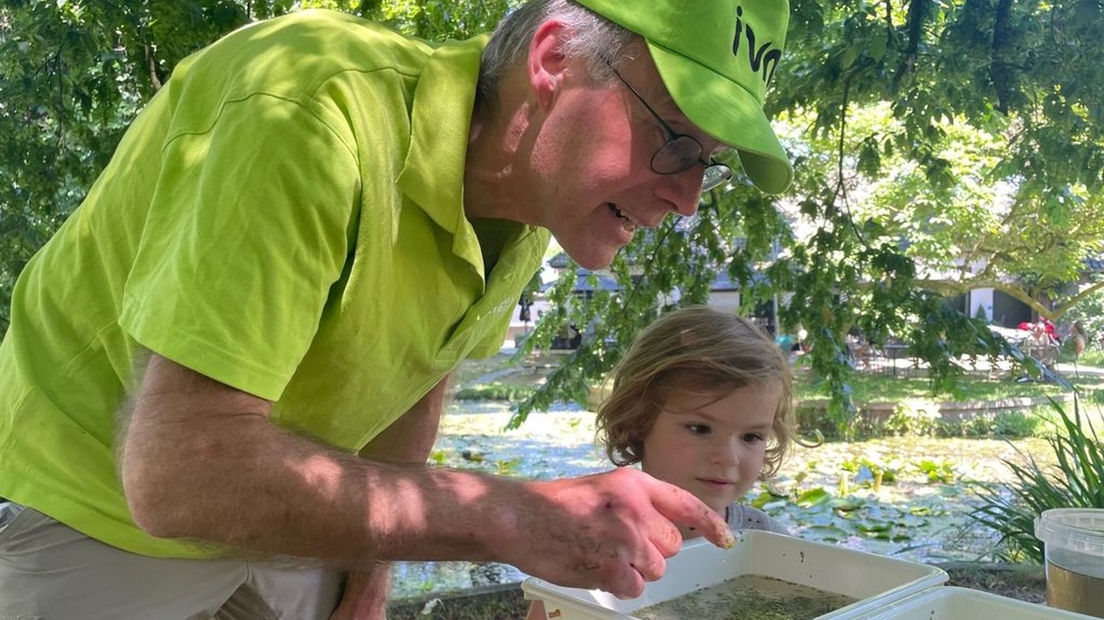 Man in groene kleding en kind bekijken waterleven in een bak, buiten in een natuurlijke omgeving.