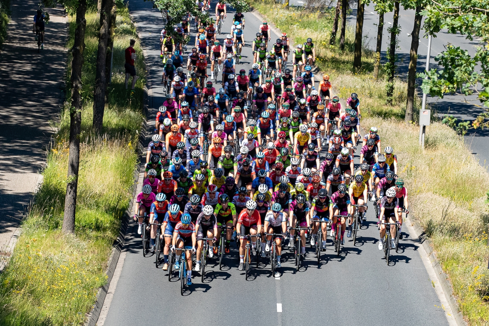 Een groot peloton wielrenners fietst over een weg omringd door bomen en gras.