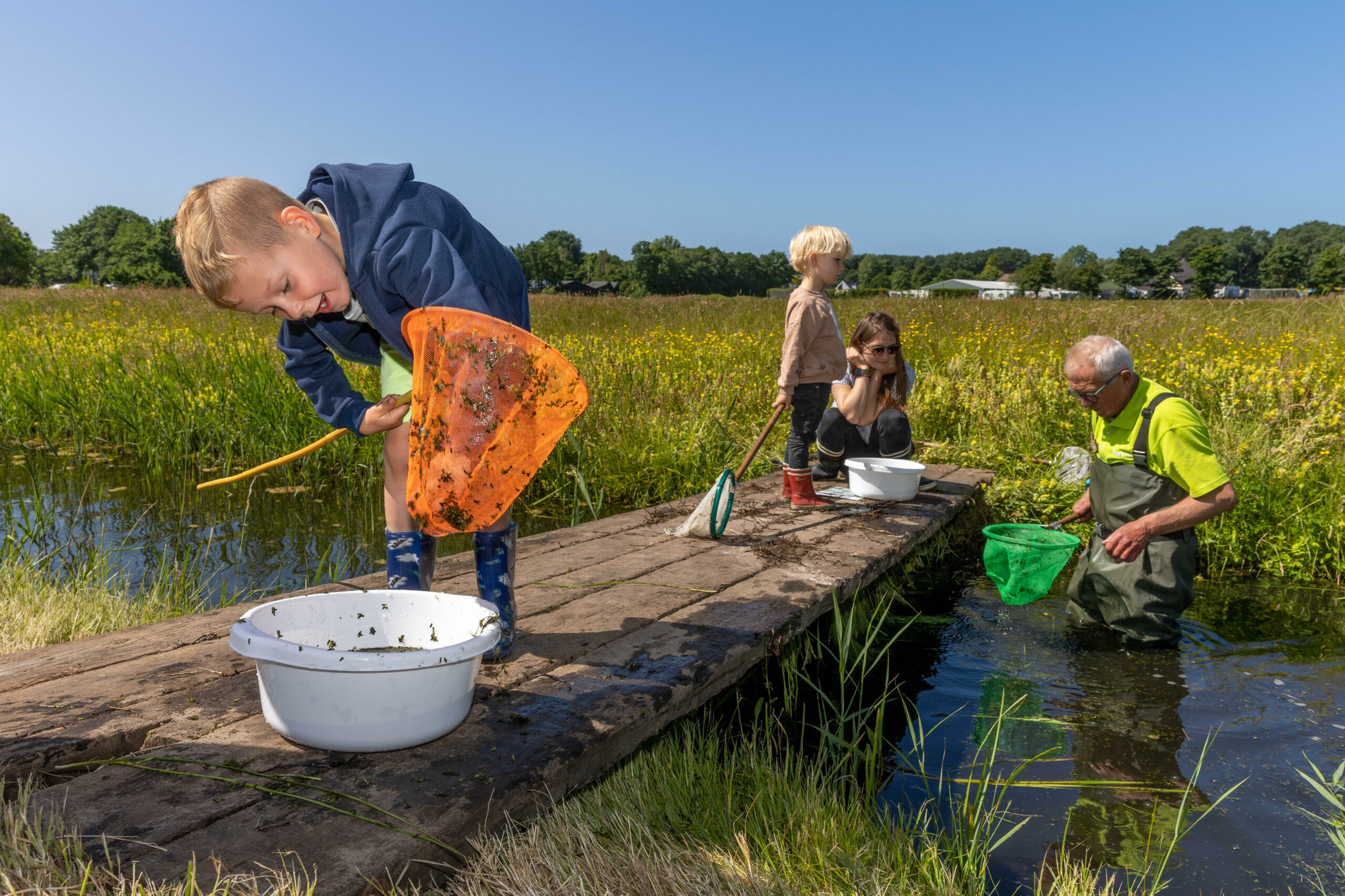 Kinderen en een volwassene vangen waterdiertjes met netten op een vlonder bij een plas.