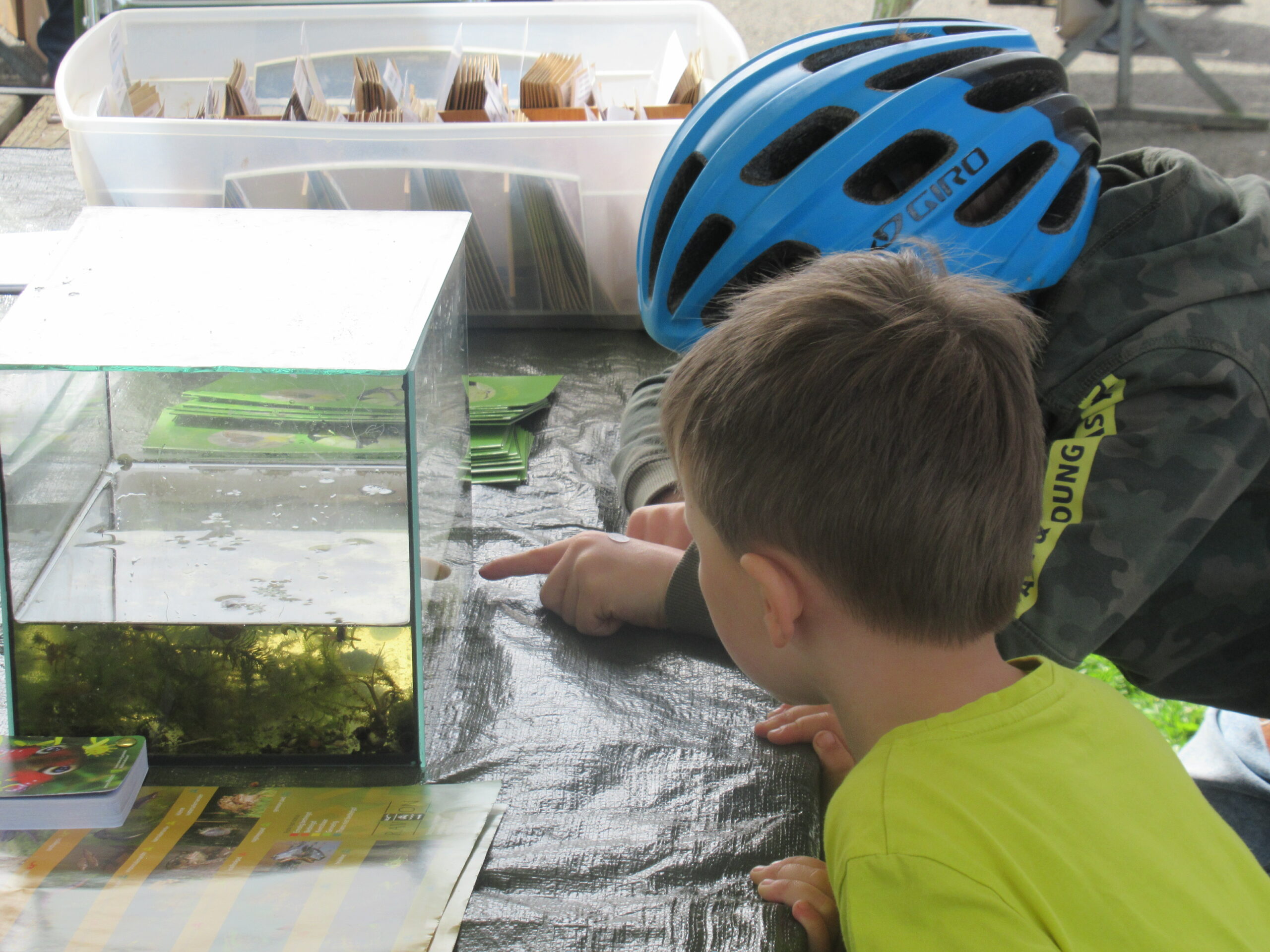 Kinderen kijken naar een aquarium met planten en waterwezens op een tafel vol folders.