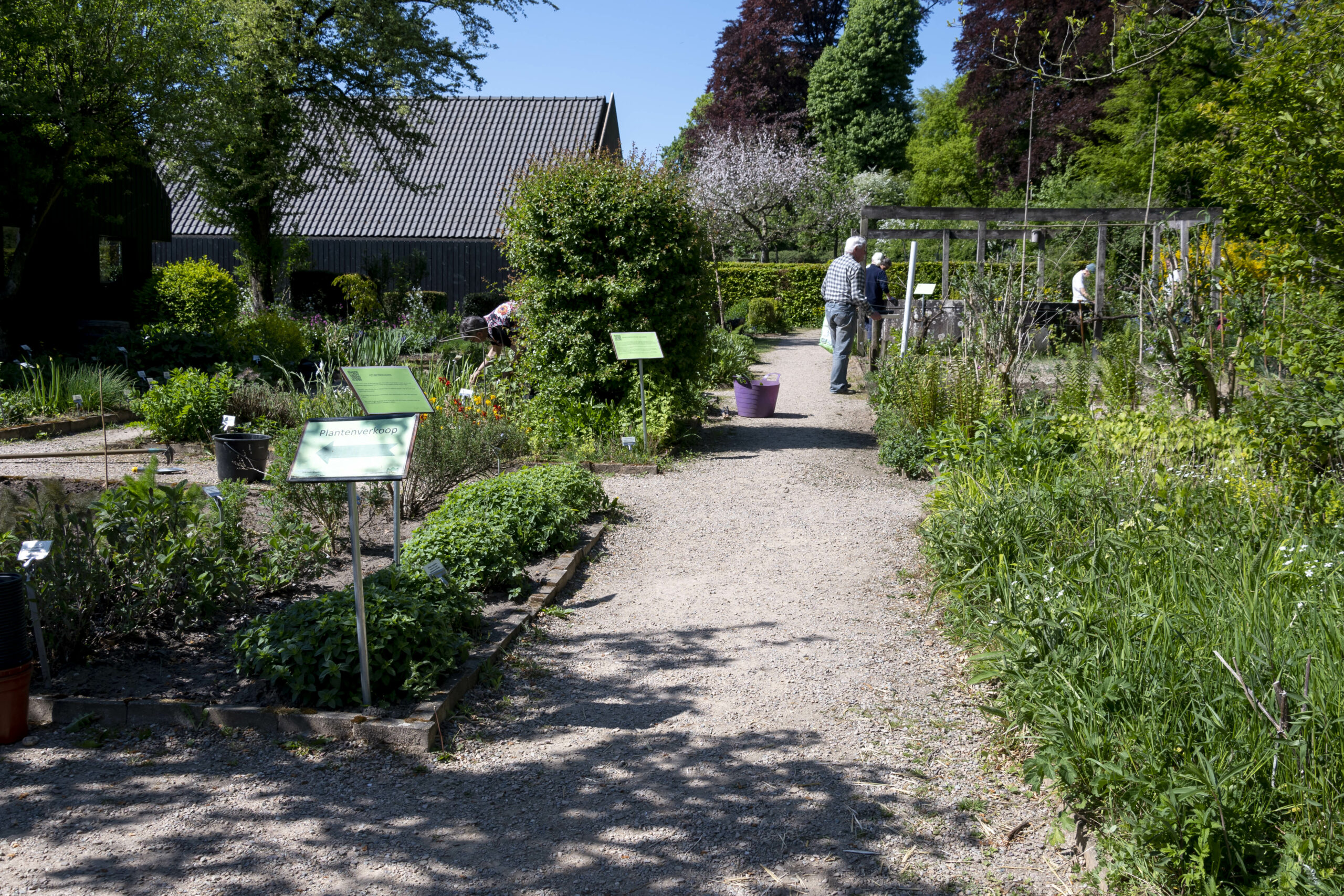 Mensen werken in een groene tuin met plantenbedden en infoborden onder een heldere blauwe lucht.