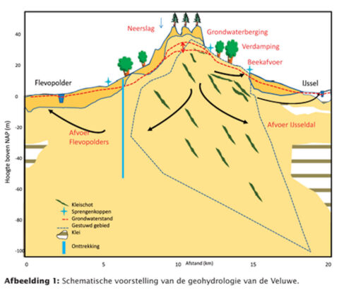 Schematische geohydrologie van de Veluwe met neerslag, grondwaterstromen en afvoer naar polders.