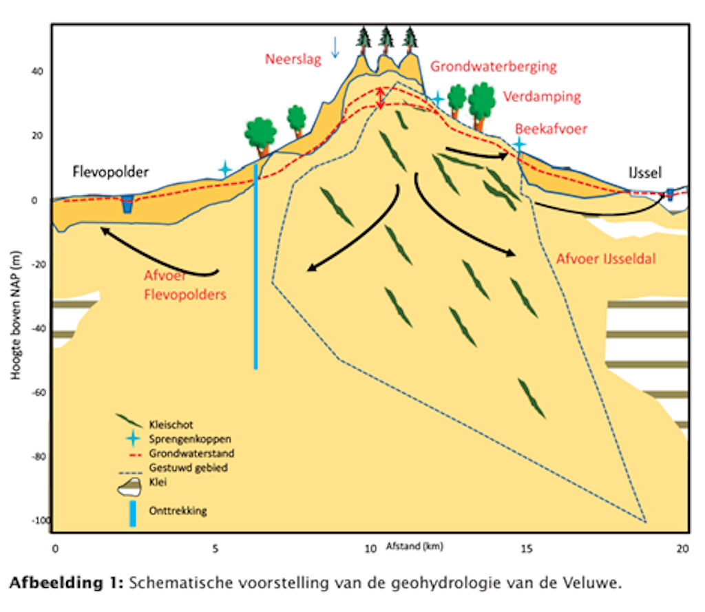 Schematische geohydrologie van de Veluwe met neerslag, grondwaterstromen en afvoer naar polders.