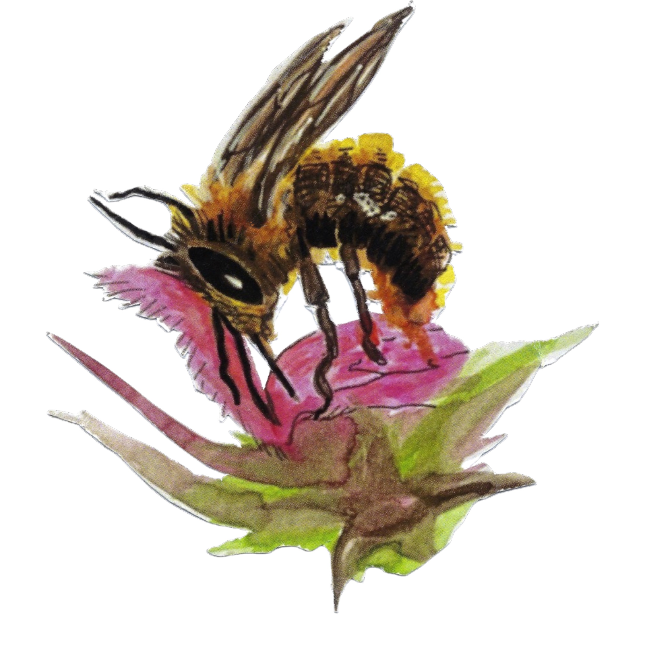 Illustratie van een bij op een roze bloem met groene bladeren.