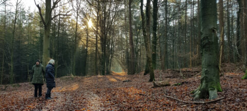 Twee mensen wandelen in een bos bij zonsondergang op een bed van herfstbladeren.