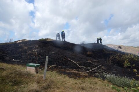 Brandweerlieden blussen een afgebrand duingebied onder een bewolkte hemel.
