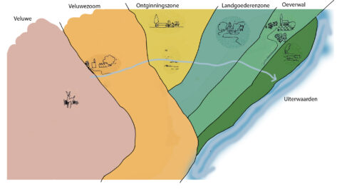 Kaart met zones: Veluwe, Veluwezoom, Ontginningszone, Landgoederenzone, Oeverwal, en Uiterwaarden.