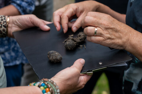 Mensen onderzoeken dierenkeutels op een zwarte map in een buitenomgeving.