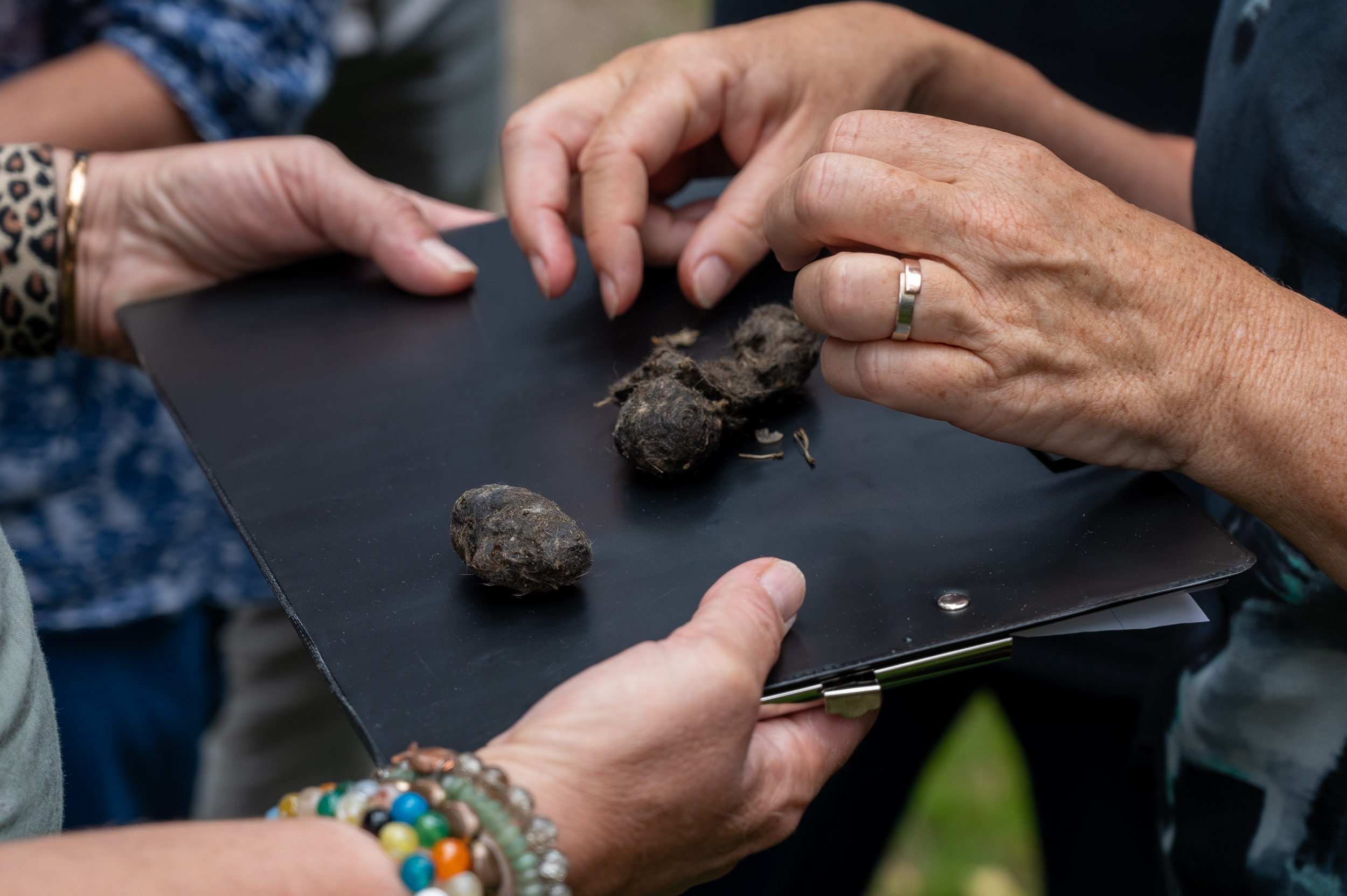 Mensen onderzoeken dierenkeutels op een zwarte map in een buitenomgeving.
