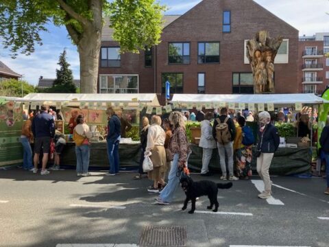 2026 Koningsdag Straatmarkt met mensen bij kraampjes; gebouwen op de achtergrond, zonovergoten dag.