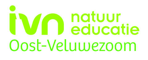 Logo van IVN Natuureducatie Oost-Veluwezoom in heldergroene tekst op een witte achtergrond.