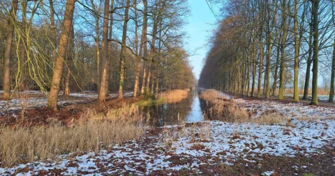 Boomlaan langs een smal kanaal, met besneeuwde grond en kale bomen onder een heldere blauwe lucht.