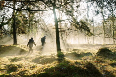 Trektocht Drenthe dag 1