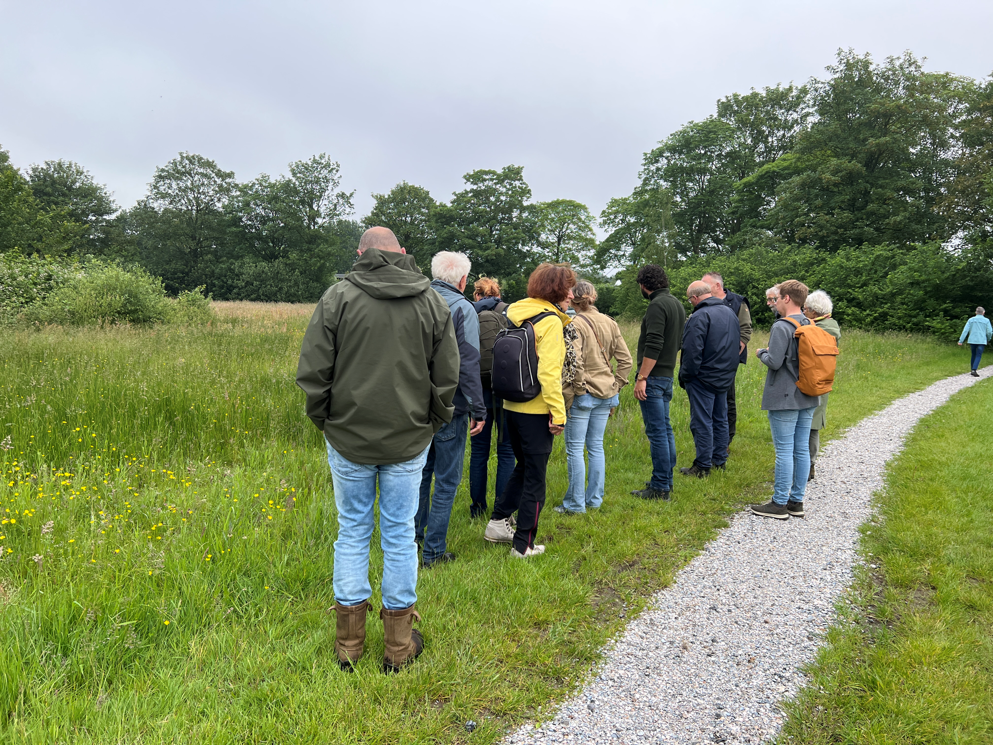 Groep mensen wandelt op een grindpad door een groen veld met bomen op de achtergrond.