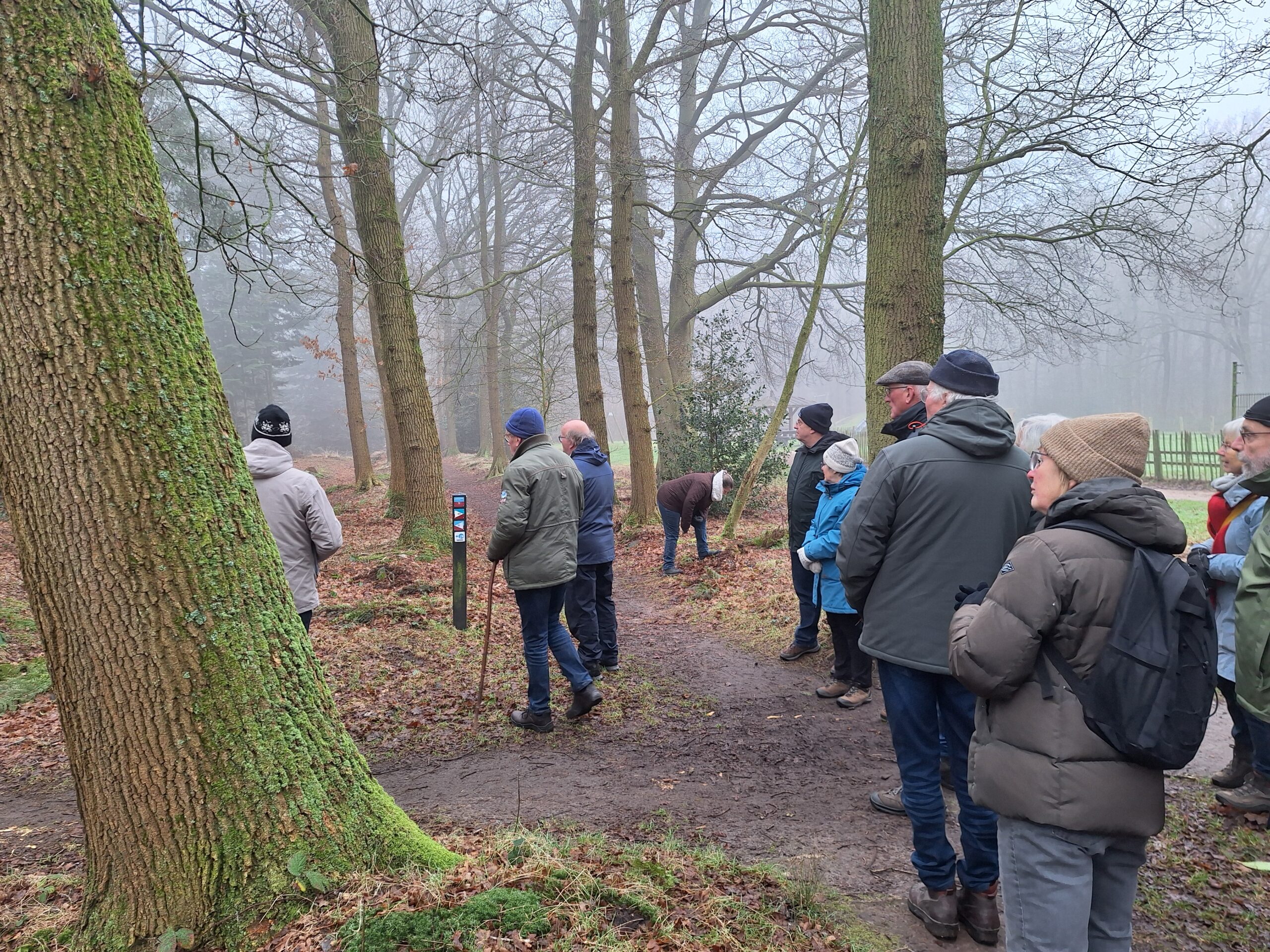 Groep wandelaars in een mistig bos, gekleed in warme winterjassen, naast een bospad.