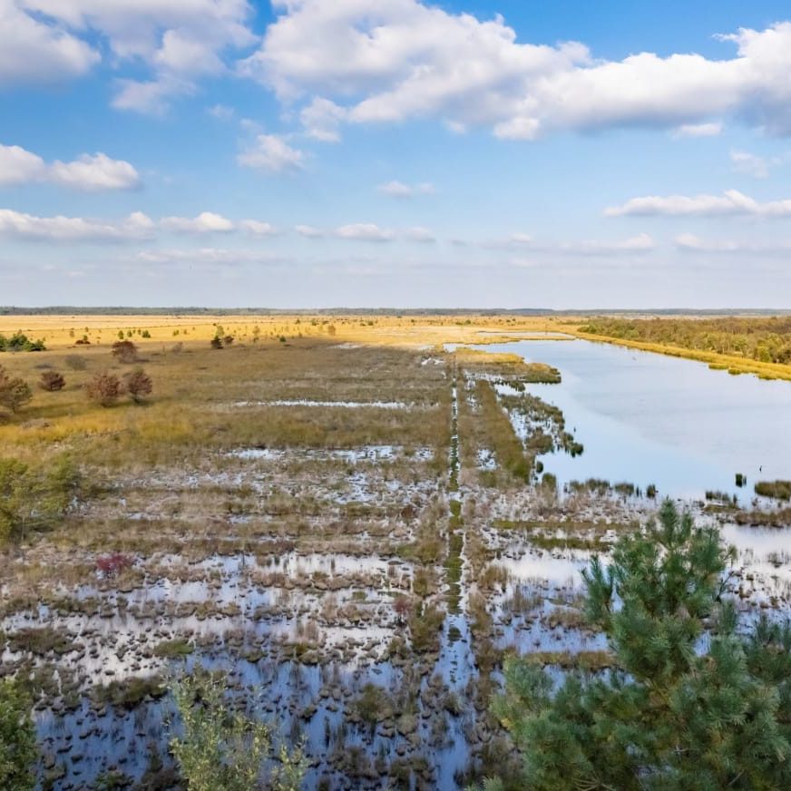 Uitzicht op een uitgestrekt moerasgebied met graslanden en een waterplas onder een bewolkte hemel.
