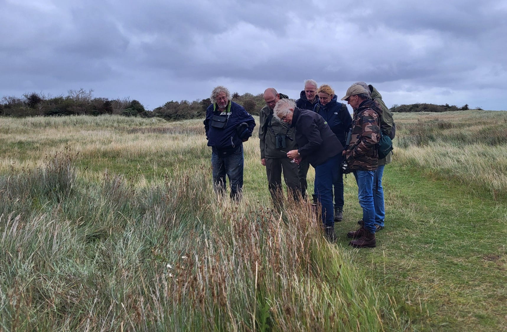 Een groep mensen inspecteert grasland op een bewolkte dag.