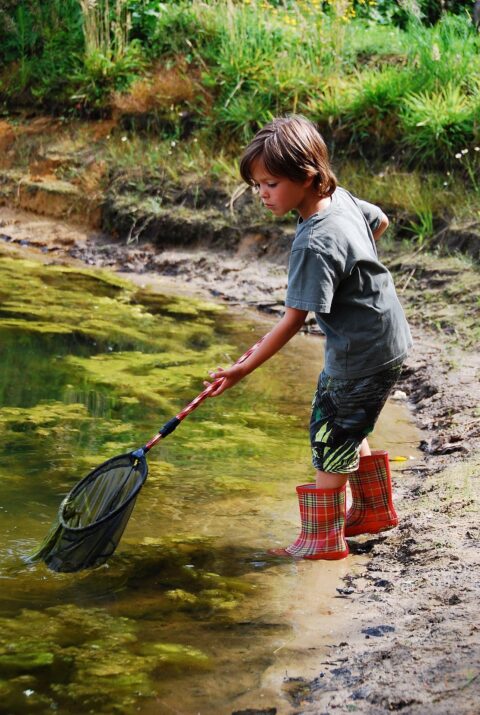 Kind met schepnet en laarzen langs de waterrand in groene, natuurlijke omgeving.