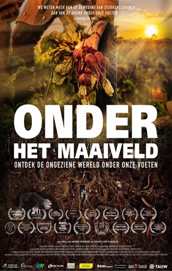 Affiche van film "Onder het Maaiveld" met wortels en bodemleven bij zonsondergang.