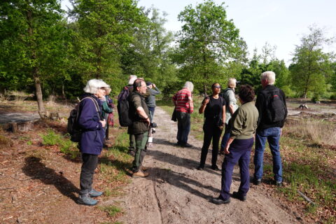 Groep mensen wandelt in bosrijke omgeving, luistert naar gids.