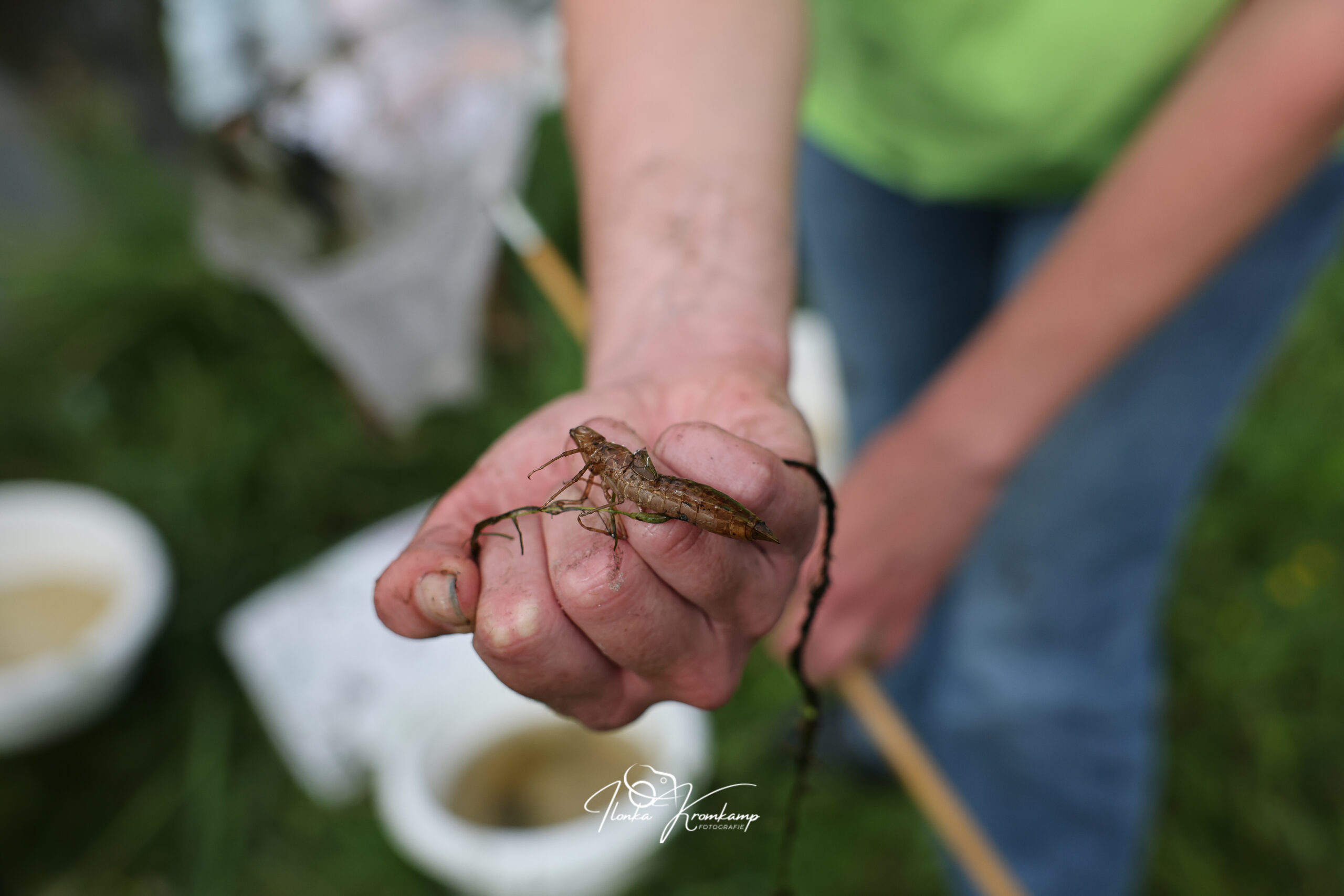 Hand houdt een insectenlarve vast, met een visnet en emmer op de achtergrond.