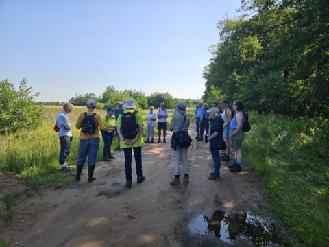 Groep mensen in een kring op een bospad, omringd door groen en onder een heldere blauwe lucht.