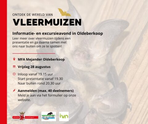 Flyer voor vleermuizenexcursie in Oldeberkoop, 28 augustus, inclusief presentatie.