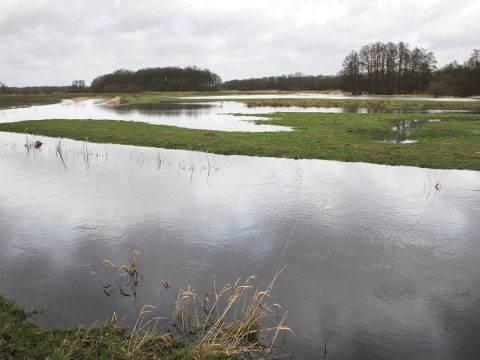 Perbericht waterschap Noorderzijlvest 12 oktober 2021