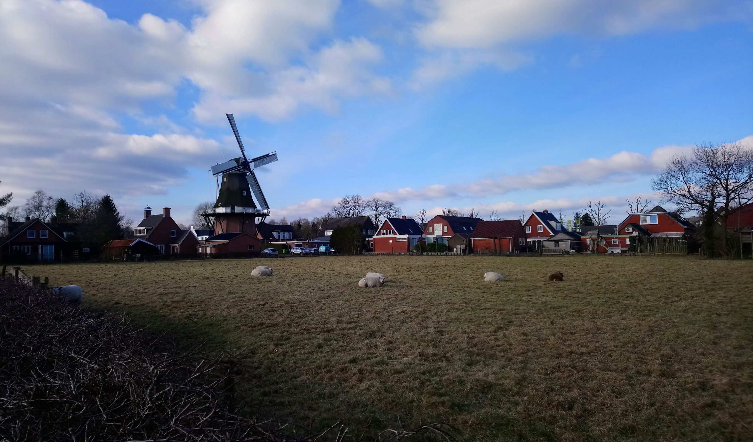 Wandel/ fietsroutes in en rondom Peize