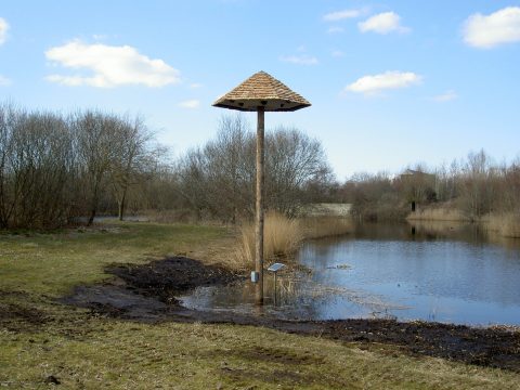 Natuurwerkdag