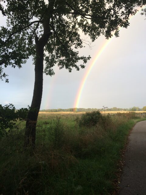 Boom aan een pad met daarachter een dubbele regenboog boven grasveld en bomen.