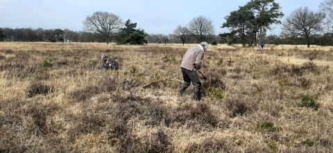 ledendag boetelerveld
