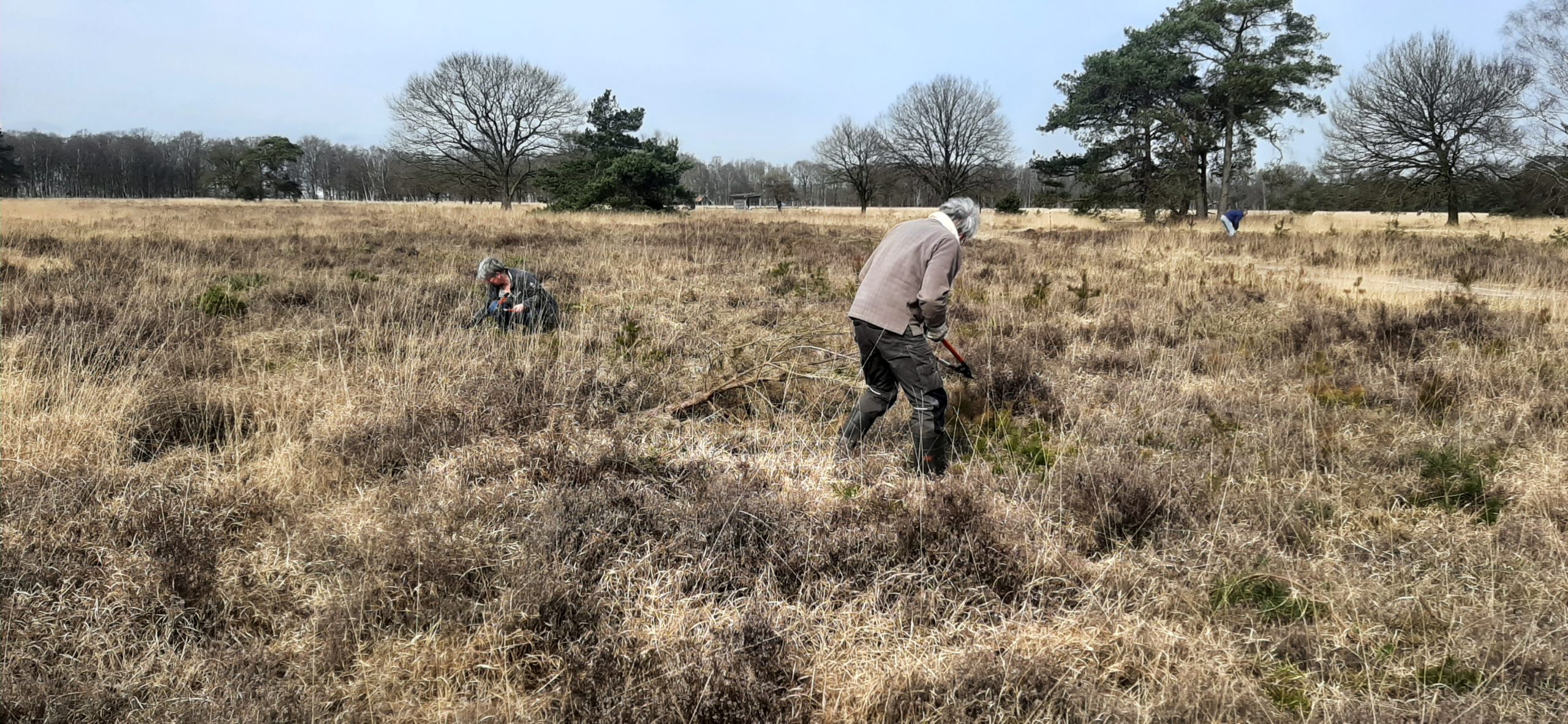 ledendag boetelerveld