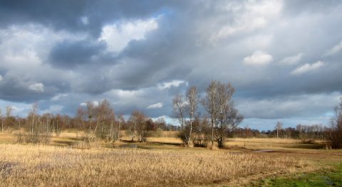 boetelerveld