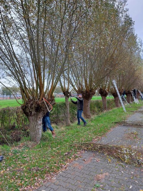 De knotgroep aan het werk