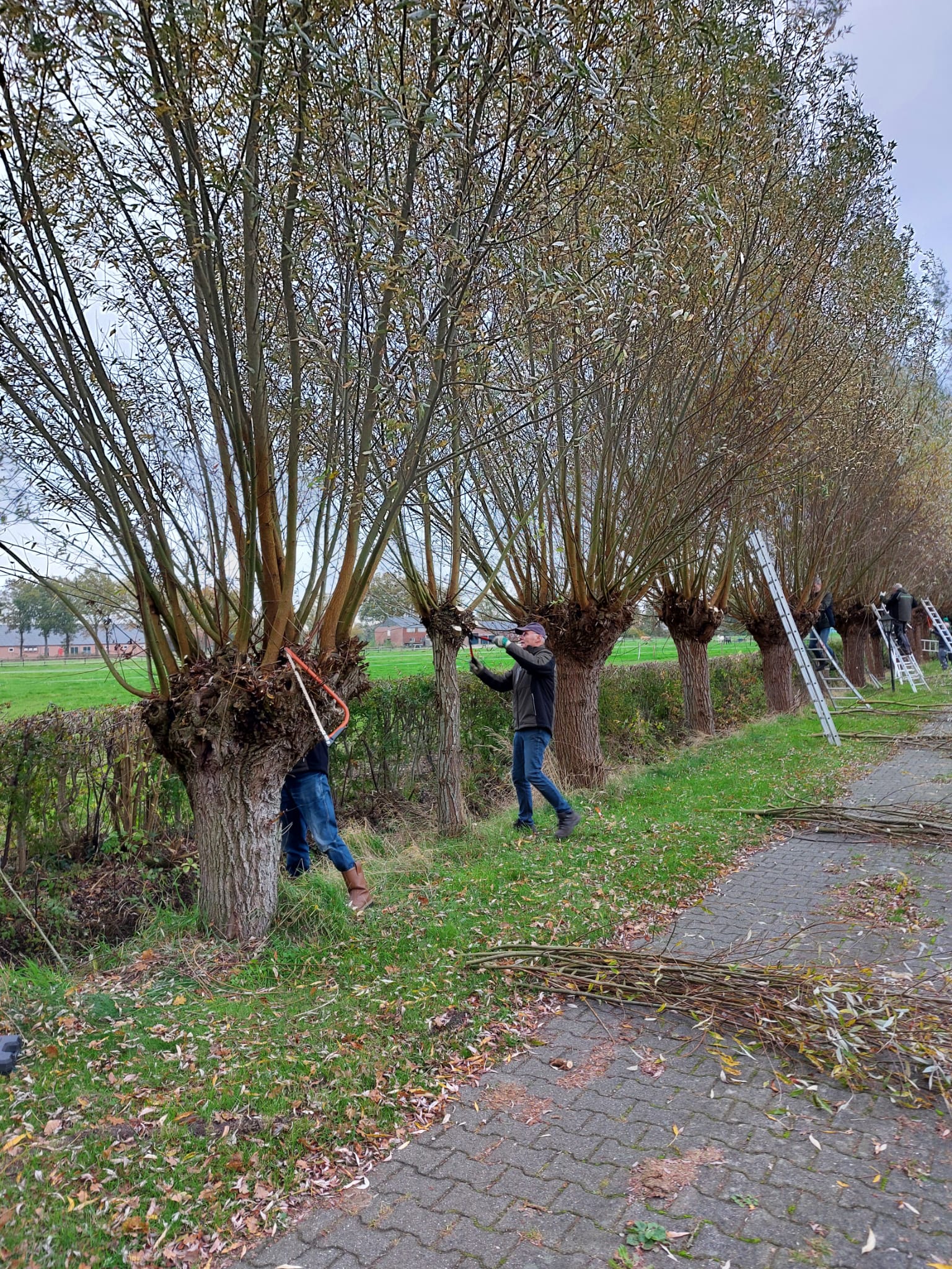 De knotgroep aan het werk