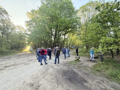 Een groep mensen staat op een bospad bij zonsopgang, omringd door groene bomen.