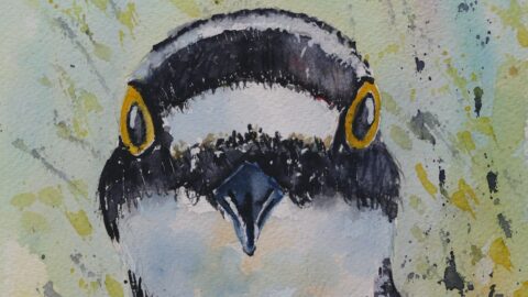 Aquarel schilderij van een vogel met gele ogen, tegen een abstracte achtergrond van blauw en groen.