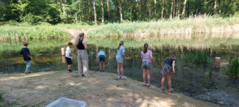 Kinderen onderzoeken een vijver met netten in een bosrijke omgeving.