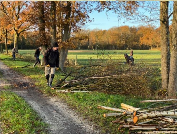 Mensen stapelen takken in een herfstachtig bos naast een pad met kale bomen.