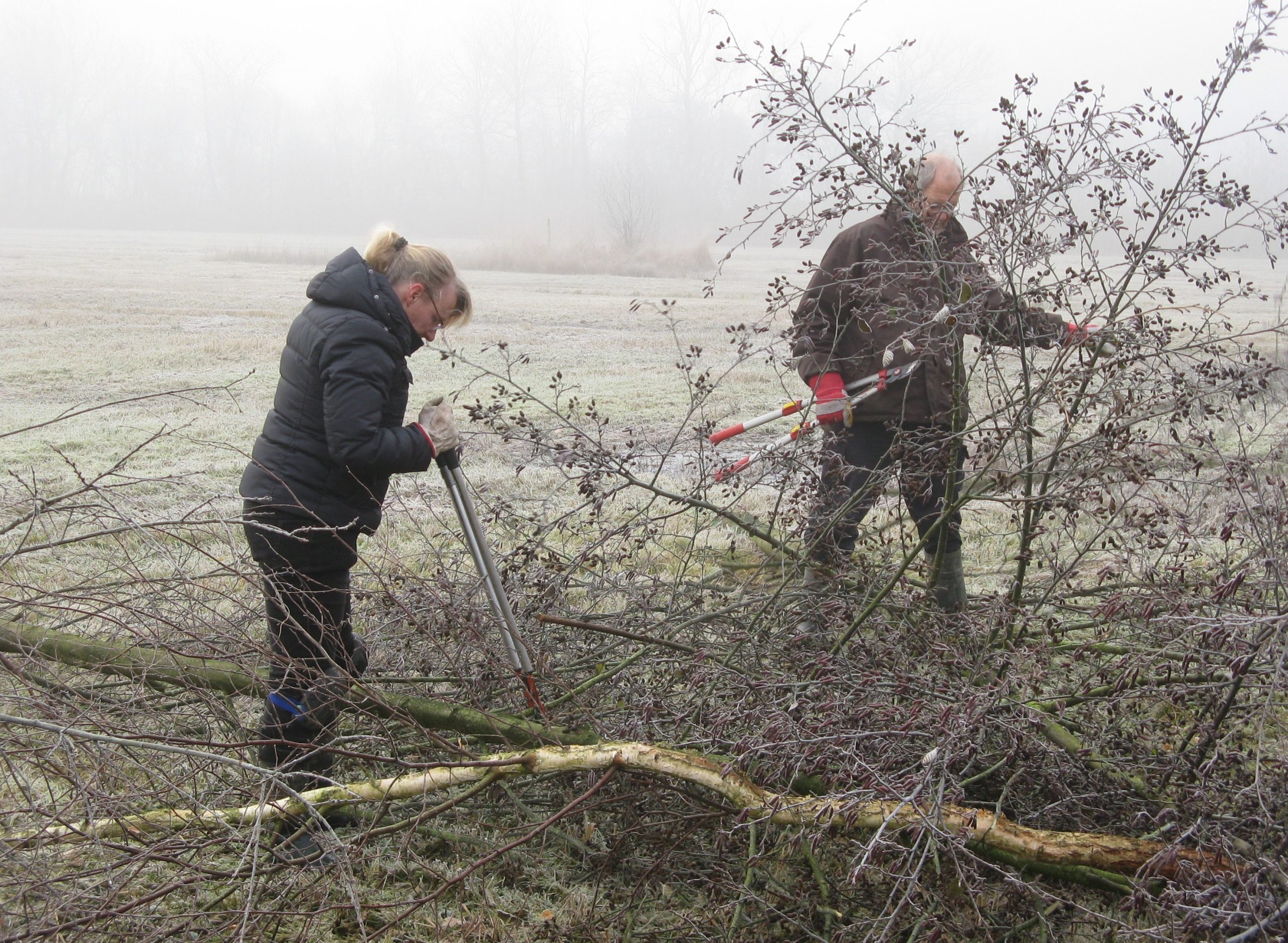 Praktisch Natuurbeheer in De Bruuk