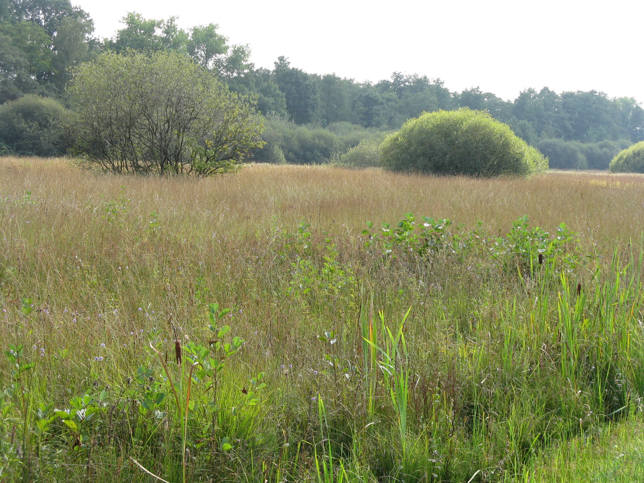 Praktisch Natuurbeheer in De Bruuk