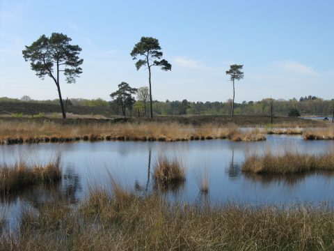 Landelijke Natuurwerkdag 2019