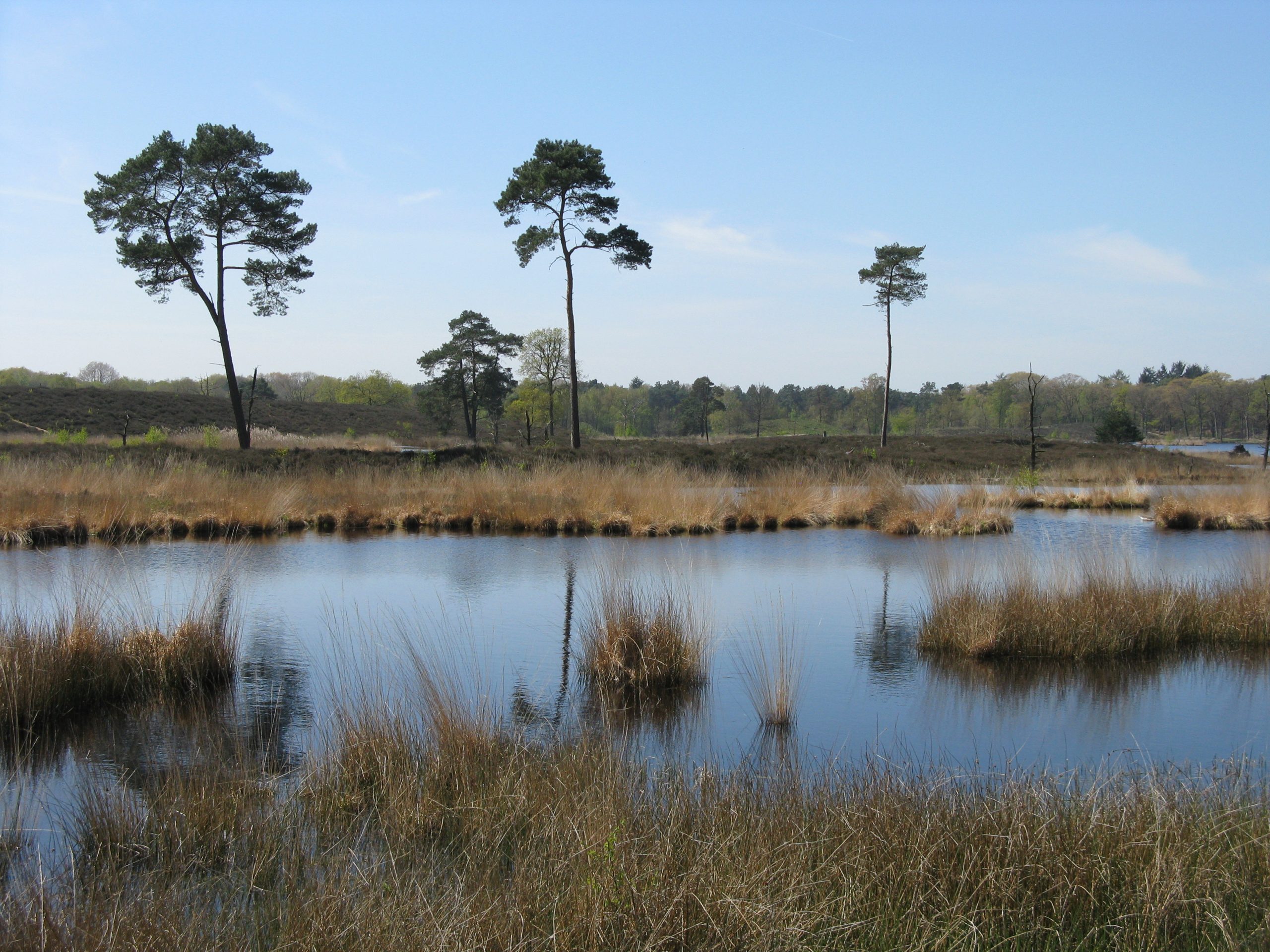 Landelijke Natuurwerkdag 2019