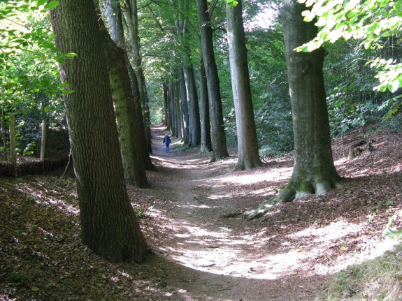 Heerlijkheid Beek wandelaar