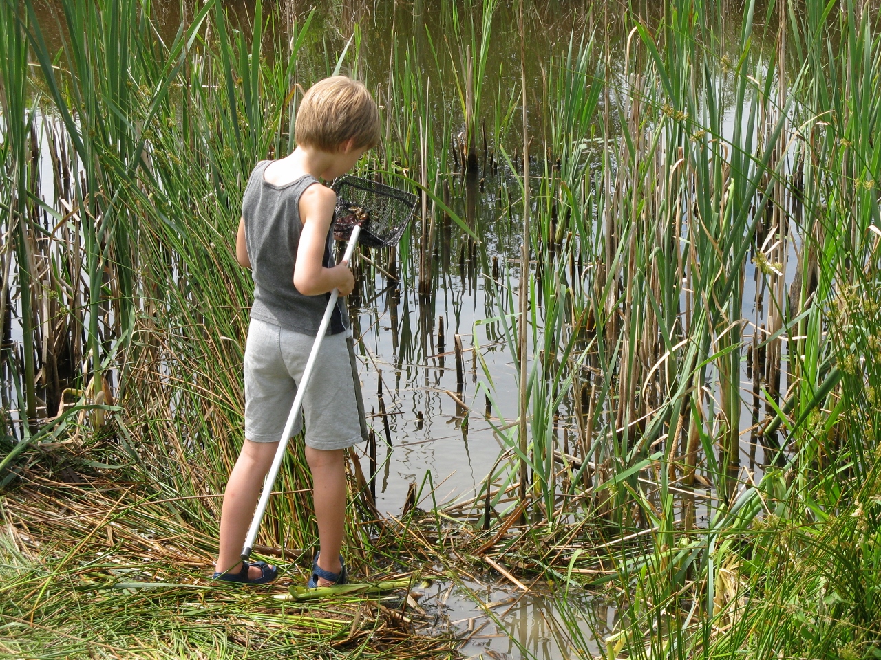 Slootjesdag in ’t Zwanenbroekje