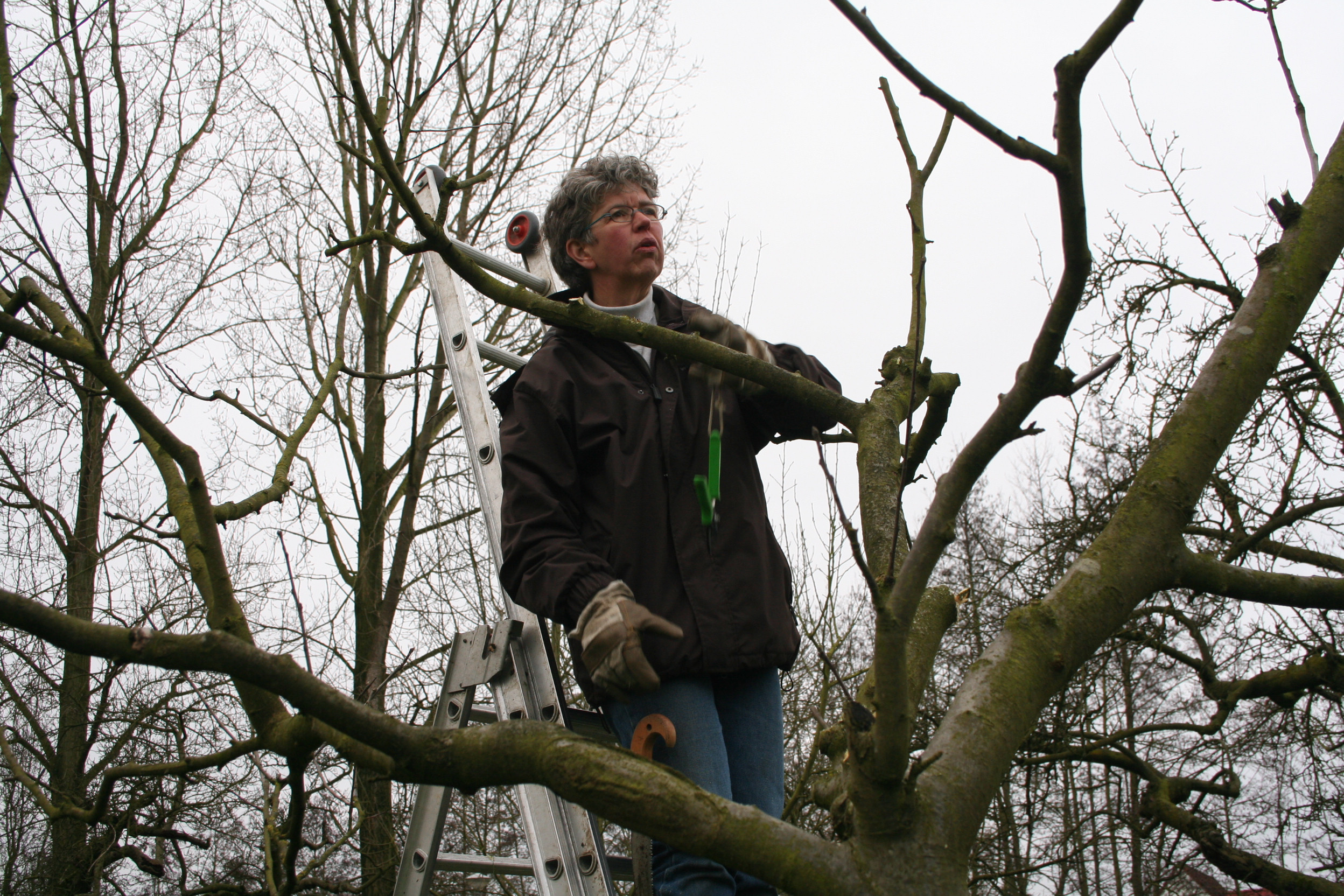 Werkochtend hoogstamboomgaard Palland