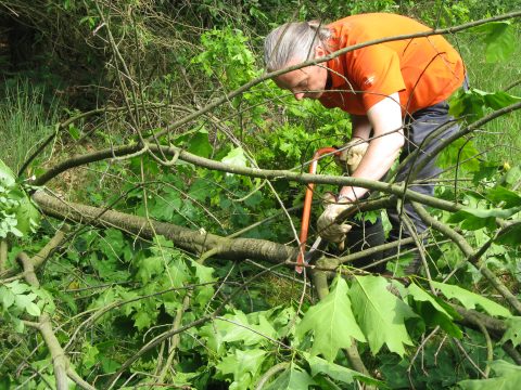 Werken in de natuur