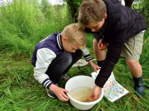 Twee kinderen onderzoeken waterleven in een emmer met behulp van een zoekkaart in het gras.